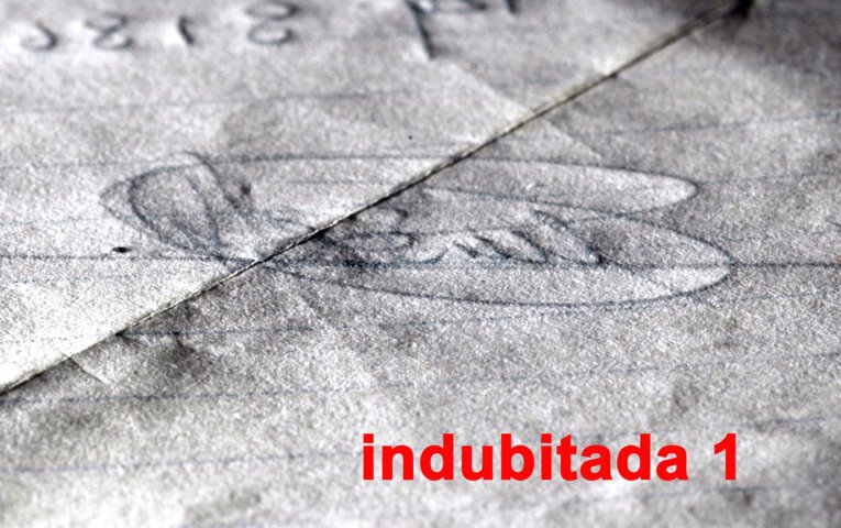 trabajo cotejo de firma